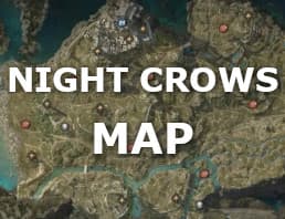 Night Crows